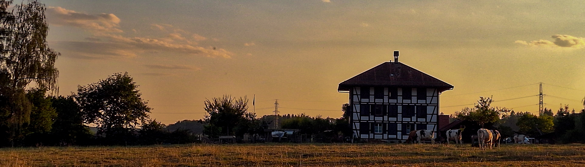 bg_image
