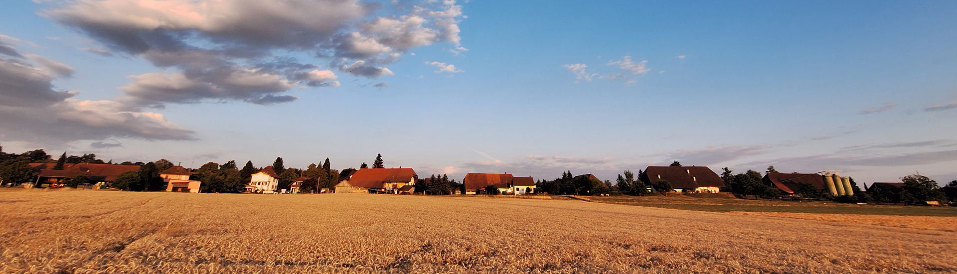 bg_image